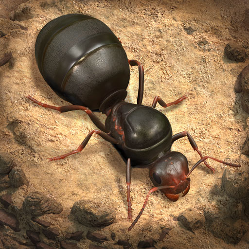 The Ants Underground Kingdom 3.78.0 APKMOD Free Download The Ants Underground Kingdom 3.78.0 APKMOD Free Download