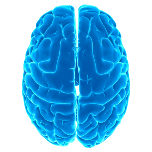 Logical tests – IQ 12.36 APKMOD Free Download